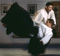 Seiichi Sugano Shihan